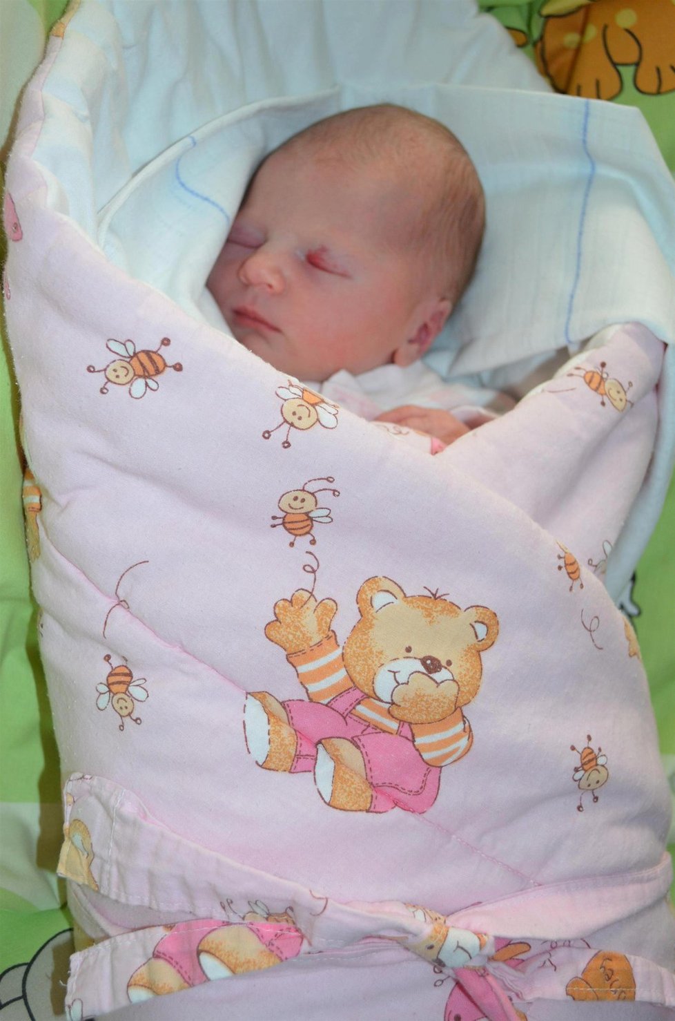 První dítě Česka v roce 2016: Alice se narodila v Havířově mamince Kateřině