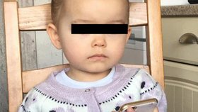 Dvouletá Louisiana-Brook přišla o život při požáru.