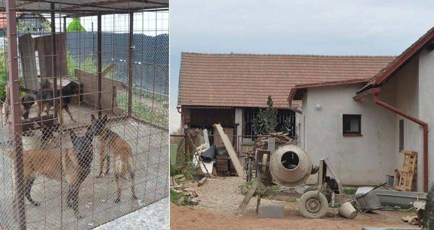 Chlapce (†5) roztrhala smečka problémových psů: Pokousali i sousedku majitele