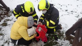 Nelinka (2) se zasekla nožičkama v houpačce! Hasiči ji museli rozstřihnout