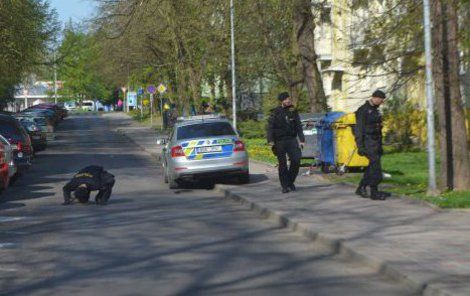 Policisté prohledávali křoví, dívali se i pod zaparkovaná auta.