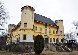 Takto vypadal zámek Dívčí Hrad koncem letošního ledna při poslední prohlídce pro zájemce o koupi.