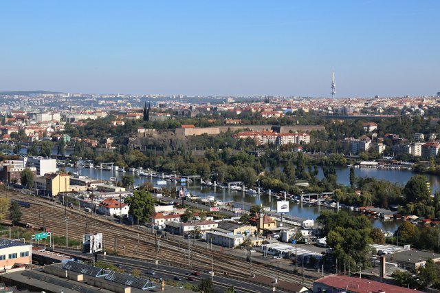 Na Dívčích hradech se budou od poloviny dubna prohánět 4klisny koně Převalského