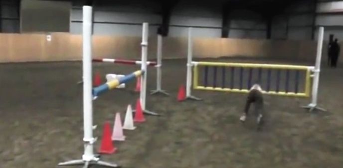 Anna skáče jako kůň.