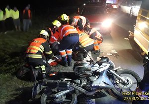 U Sulkovu na Plzeňsku srazil motorkář divočáka. Zvíře uhynulo, muž skončil v nemocnici.