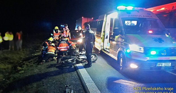 U Sulkovu na Plzeňsku srazil motorkář divočáka. Zvíře uhynulo, muž skončil v nemocnici.