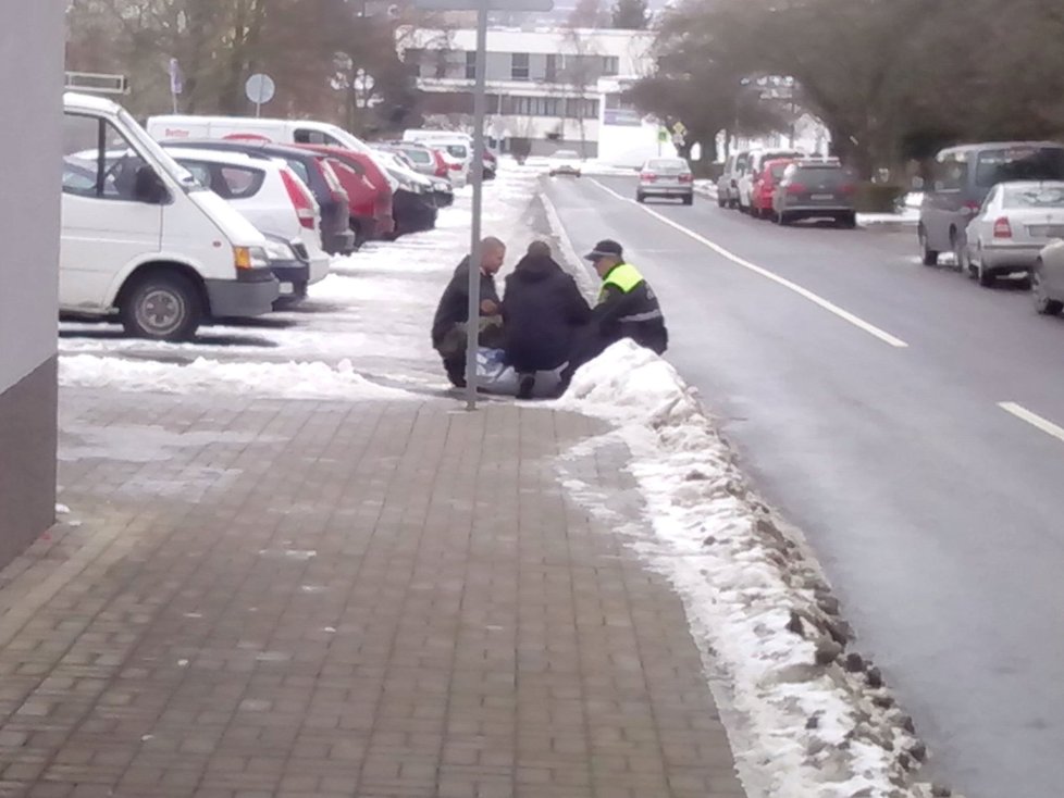 Nakonec se myslivci podařilo zvíře skolit.