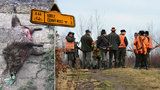 Napadení při honu na divočáky: Prase na útěku před myslivci kouslo chataře