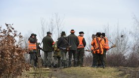 Myslivci vyrážejí na lov prasat i Praze - na Černém mostě a v Horních Počernicích. (archivní foto)