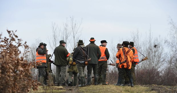 Myslivci v Praze v sobotu lovili divoká prasata, která se dlouhodobě vyskytují v okolí sídliště Černý Most i Dolních Počernic. Několikrát došlo i k napadení psa divočákem.