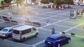 Centrem České Lípy se prohnala skupinka mladých divokých prasat, zatoulala se i do divadla.