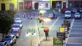Centrem České Lípy se prohnala skupinka mladých divokých prasat, zatoulala se i do divadla.