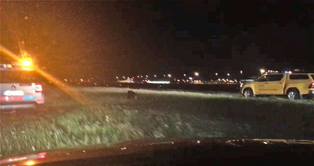 Drama na letišti v Praze. Po letištní dráze běhal divočák, na 20 minut zastavil provoz.