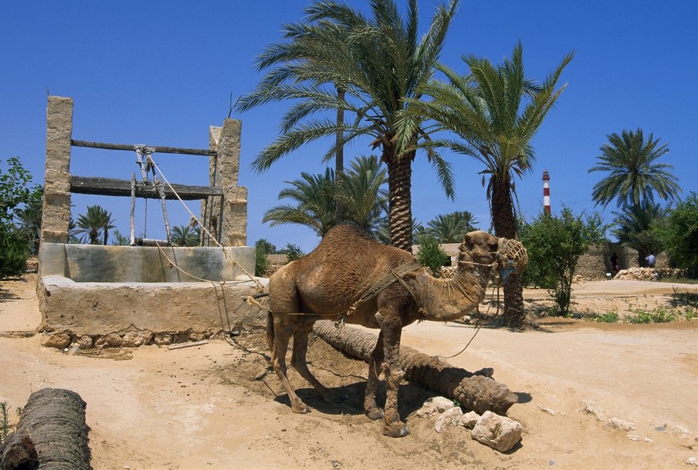 DJERBA (TUNISKO)