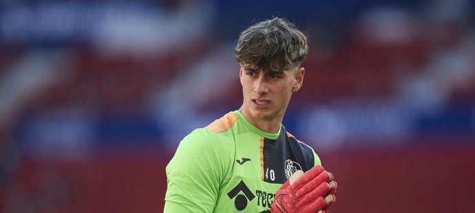 Djordije Medenica (18)