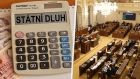 Poslanci&nbsp;se dnes začnou zabývat návrhem státního rozpočtu na příští rok