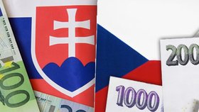 Češi vs. Slováci: Kolik utratí a kdo má větší dluhy?