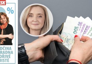 Jak půjčit peníze a minimalizovat přitom riziko, radí JUDr. Monika Novotná z poradenské kanceláře Rödl & Partner.