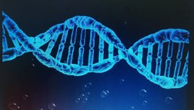 Dvoušroubovice DNA