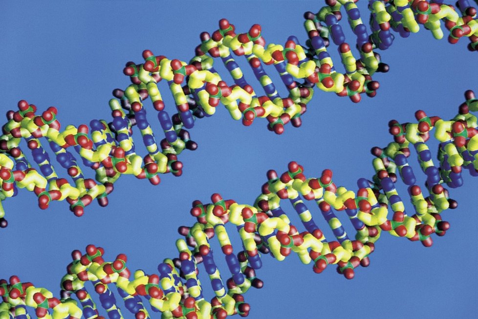 Domácí DNA testy nemohou být podle lékařů spolehlivé, takže jsou špatným dárkem pod stromeček (ilustrační foto)