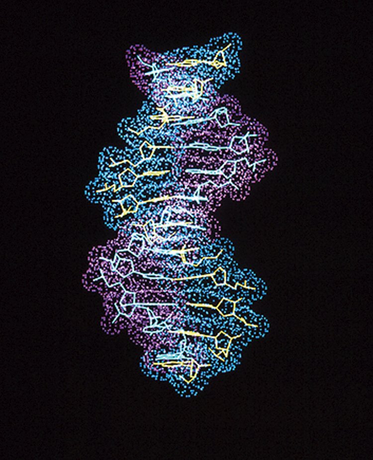 DNA: Užitečná molekula