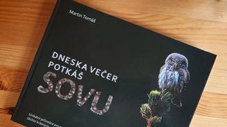 Vytáhne vás soví knížka do přírody? Fotograf vypráví o příslovečné moudrosti sov a o neklidu lidí Vytáhne vás soví knížka do přírody? Fotograf vypráví o příslovečné moudrosti sov a o neklidu lidí