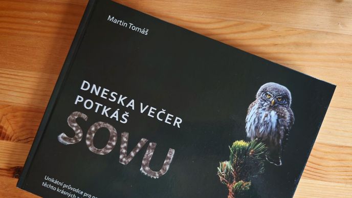 Obálka knihy Dneska večer potkáš sovu Obálka knihy Dneska večer potkáš sovu