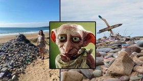 Fanoušci Harryho Pottera znečistili chráněnou pláž: Hrob skřítka Dobbyho v ohrožení?