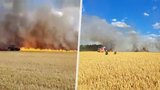 Obří požár na Plzeňsku a 22 jednotek v akci: U Dobřan hořelo velké pole, vítr komplikoval zásah