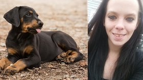 Nezodpovědná máma nechala štěně požít heroin: Nafouklo se mu břicho a zemřelo!