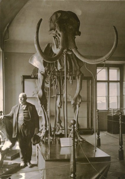 Cestovatel s kostrou mamuta v roce 1929. 