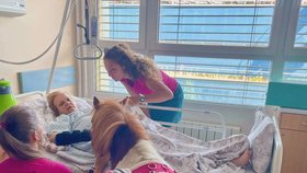 Terapeutický poník Kulička působí ve Fakultní nemocnici Olomouc.