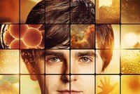 Katalog seriálů (Netflix): Dobrý doktor (The Good Doctor)