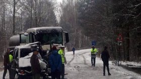 Při srážce kamionu a policejní dodávky u Doks na Českolipsku zemřeli 29. prosince ráno dva policisté, další policista utrpěl těžké zranění. Řidič kamionu byl zraněn lehce.