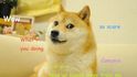Dogecoin Dogecoin
