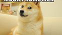 Dogecoin Dogecoin