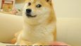 Dogecoin