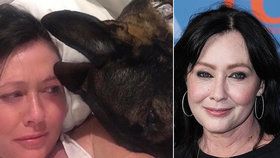 Brenda z Beverly Hills bojující s rakovinou: Pes jí prodloužil život?!
