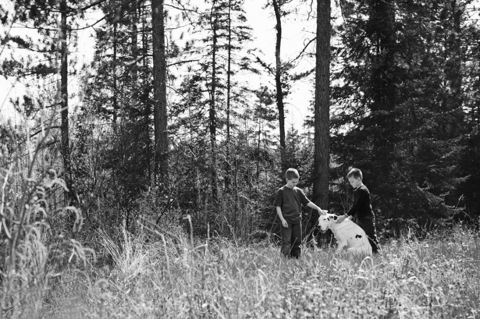 Dojemné fotografie zachycují loučení majitelů se svými mazlíčky před jejich smrtí.