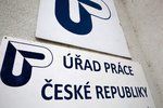 Nezaměstnanost v Česku klesá