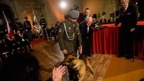 Prezident Miloš Zeman vyznamenal in memoriam také padlého kynologa Tomáše Procházku, který zahynul loni na vojenské misi v Afghánistánu. Medaili za hrdinství přišel na Hrad převzít Procházkův otec a také jeho služební pes Doky.