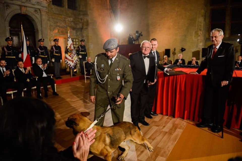 Prezident Miloš Zeman vyznamenal in memoriam také padlého kynologa Tomáše Procházku, který zahynul loni na vojenské misi v Afghánistánu. Medaili za hrdinství přišel na Hrad převzít Procházkův otec a také jeho služební pes Doky.