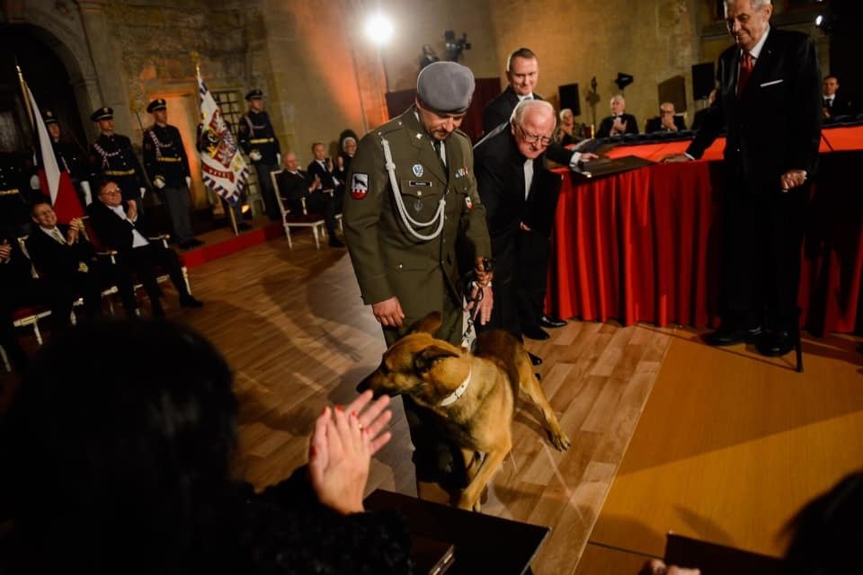 Prezident Miloš Zeman vyznamenal in memoriam padlého kynologa Tomáše Procházku, který zahynul loni na vojenské misi v Afghánistánu. Medaili za hrdinství přišel na Hrad převzít Procházkův otec a také jeho služební pes Doky.