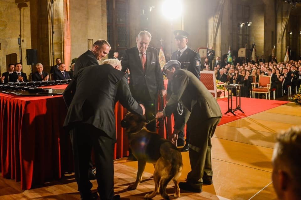 Prezident Miloš Zeman vyznamenal in memoriam padlého kynologa Tomáše Procházku, který zahynul loni na vojenské misi v Afghánistánu. Medaili za hrdinství přišel na Hrad převzít Procházkův otec a také jeho služební pes Doky.