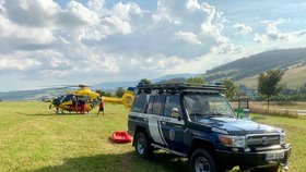 Cyklistka narazila hlavou do stromu a vážně se zranila: Život jí zřejmě zachránila přilba!