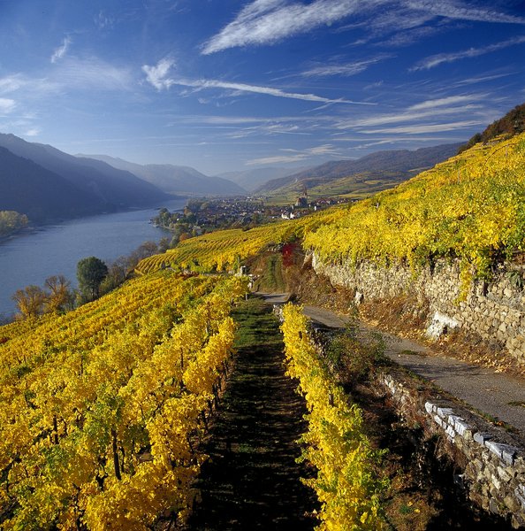 Stezka světového dědictví „Welterbesteig“ v oblasti Wachau, které je zapsané na seznamu UNESCO, znamenitě ukazuje, jak nádherný je podzim v Dolním Rakousku.