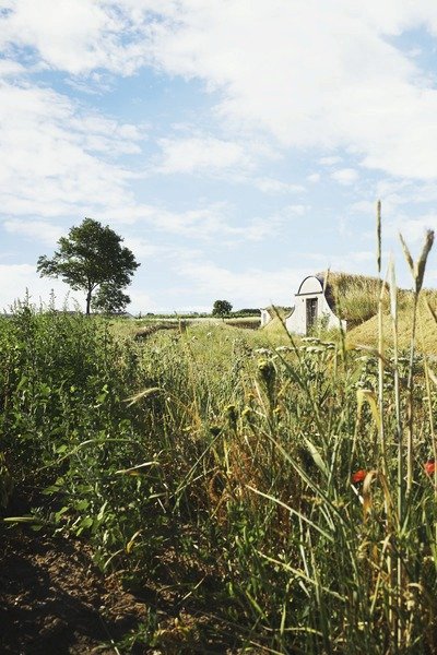 Waldviertel