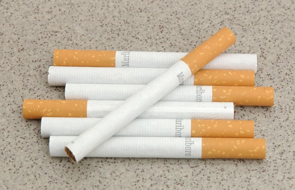 Nejvíce jsou rakovinou plic ohroženi kuřáci