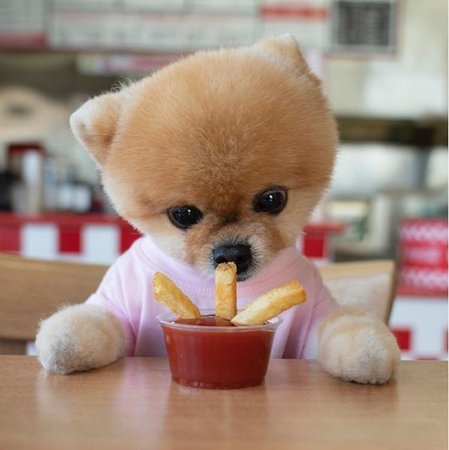 JiffPom