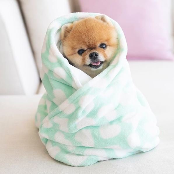 JiffPom